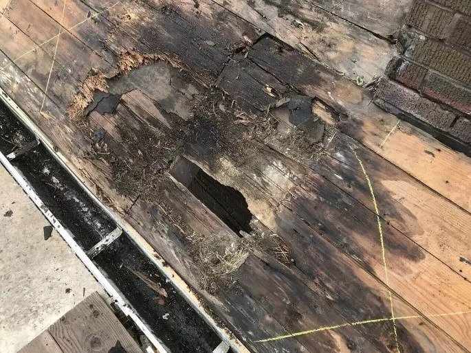 Rotted plywood on a residential roof