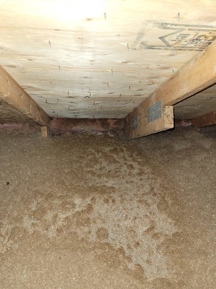 Blocked soffits in an attic in York Region