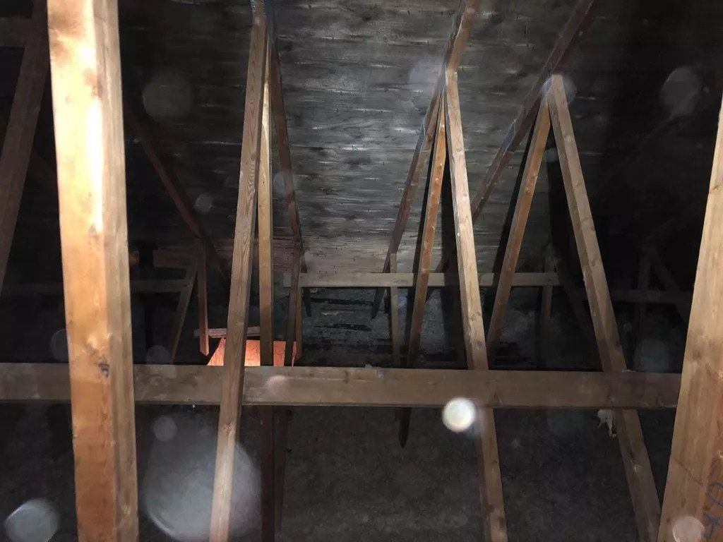 Mould in an attic in York Region